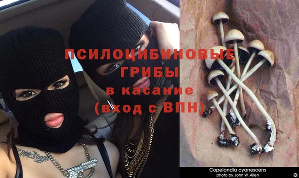 экстази Жердевка