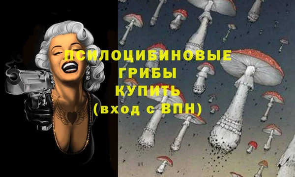 прущие крисы Кодинск