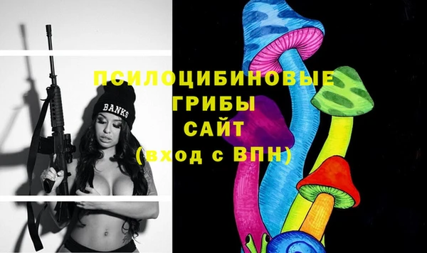 прущие крисы Кодинск